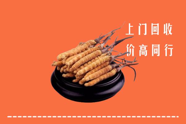 高价求购：益阳回收散虫草