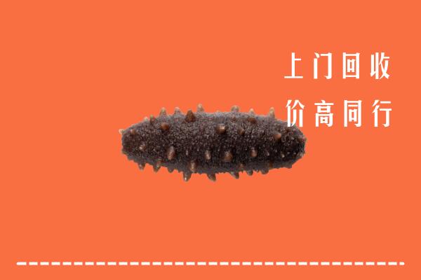 高价求购：益阳回收海参