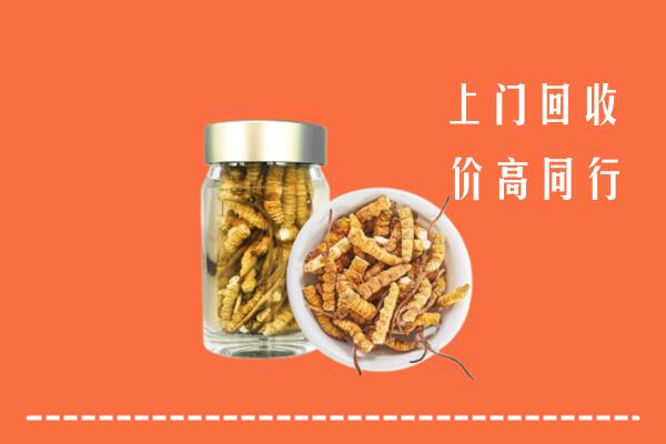 益阳回收冬虫夏草